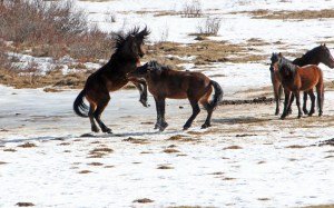 Practise fighting Getting Ready. The Practise Fight.