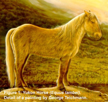 Yukon Horse